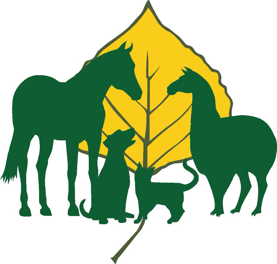 Aspen Creek Veterinary Hospital